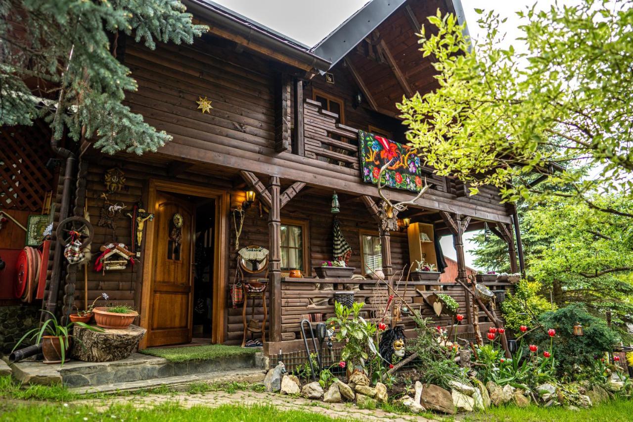 Cabana Rustic Borşa 外观 照片