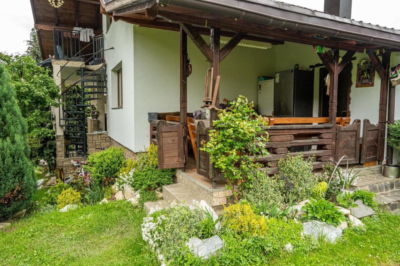 Cabana Rustic Borşa 外观 照片