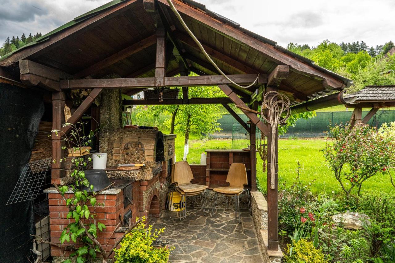 Cabana Rustic Borşa 外观 照片