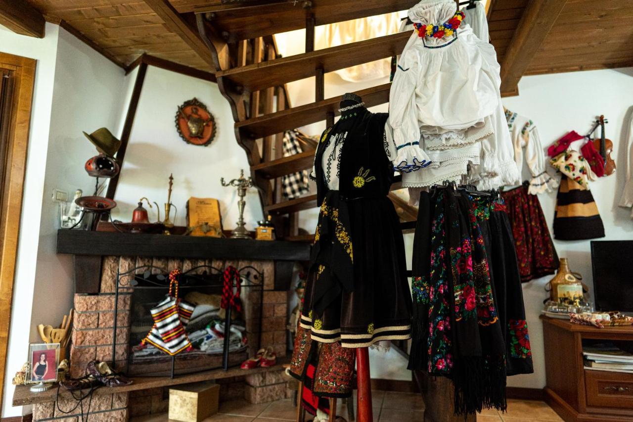 Cabana Rustic Borşa 外观 照片