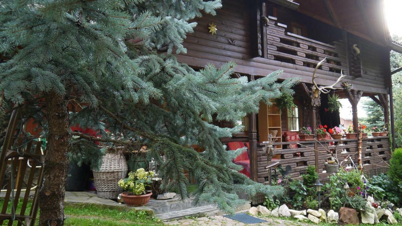 Cabana Rustic Borşa 外观 照片