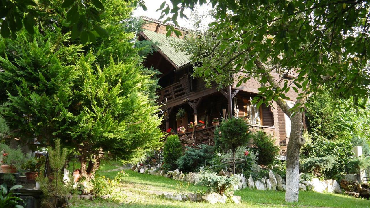 Cabana Rustic Borşa 外观 照片