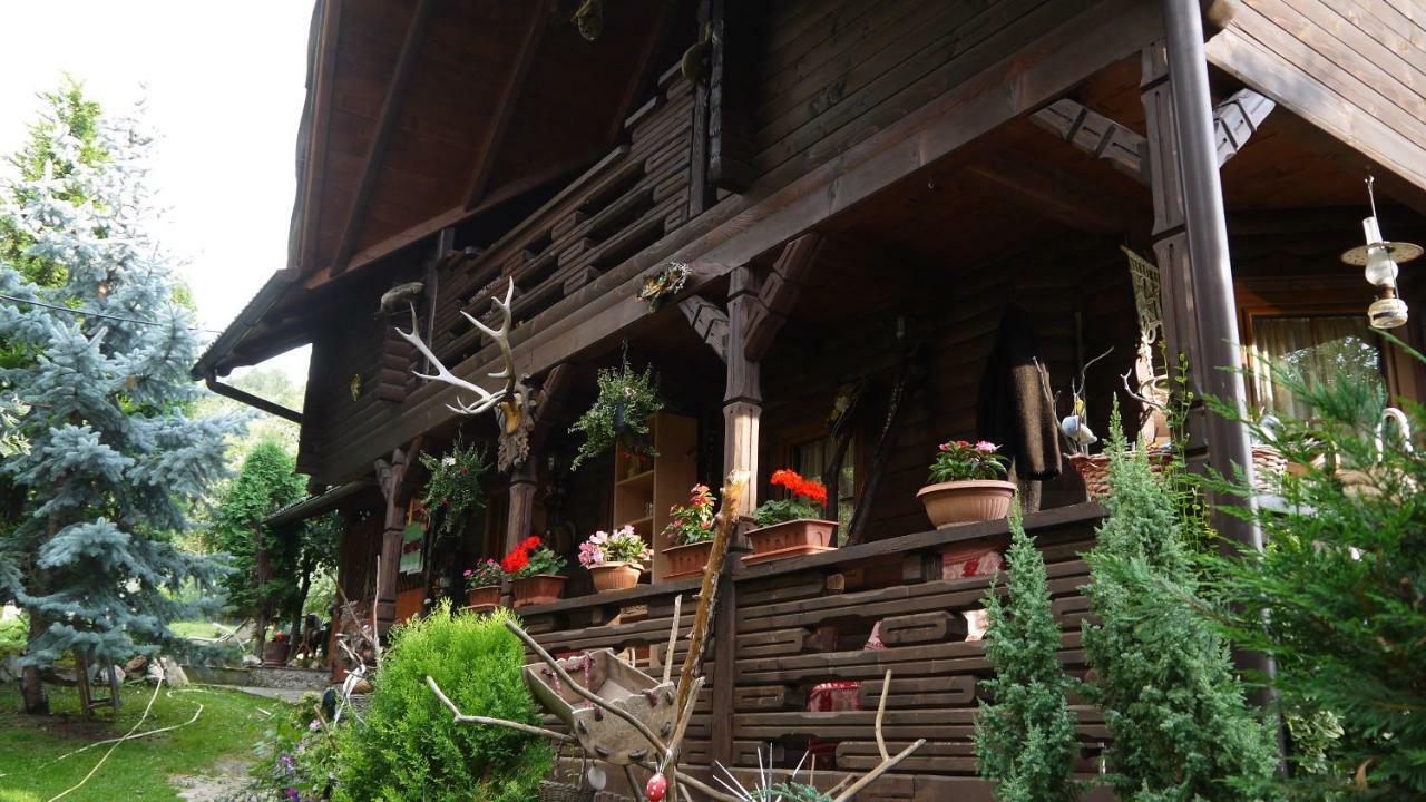 Cabana Rustic Borşa 外观 照片
