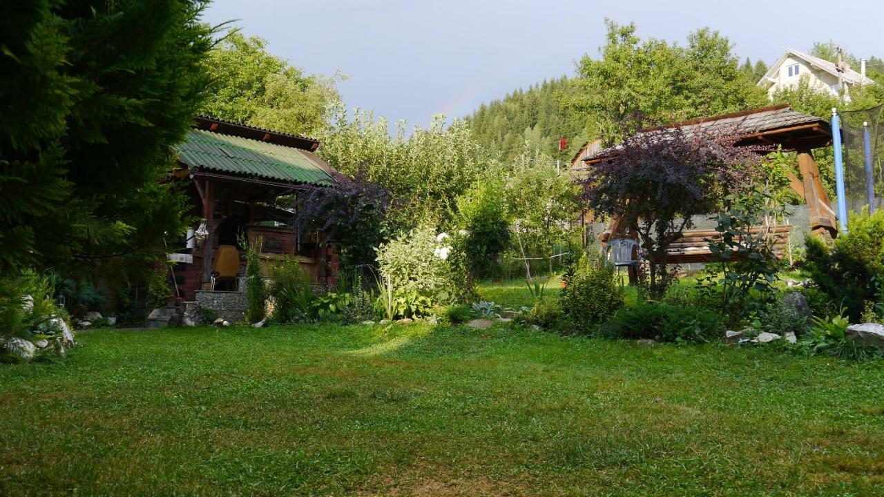 Cabana Rustic Borşa 外观 照片