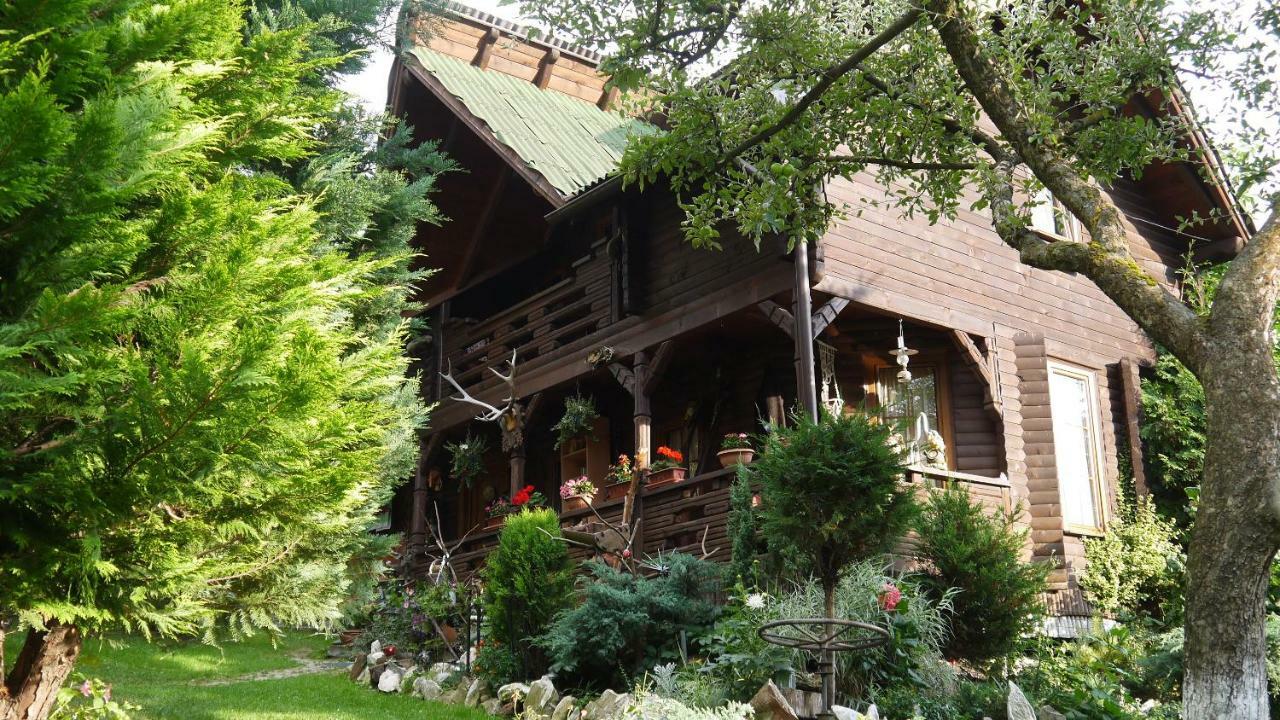 Cabana Rustic Borşa 外观 照片