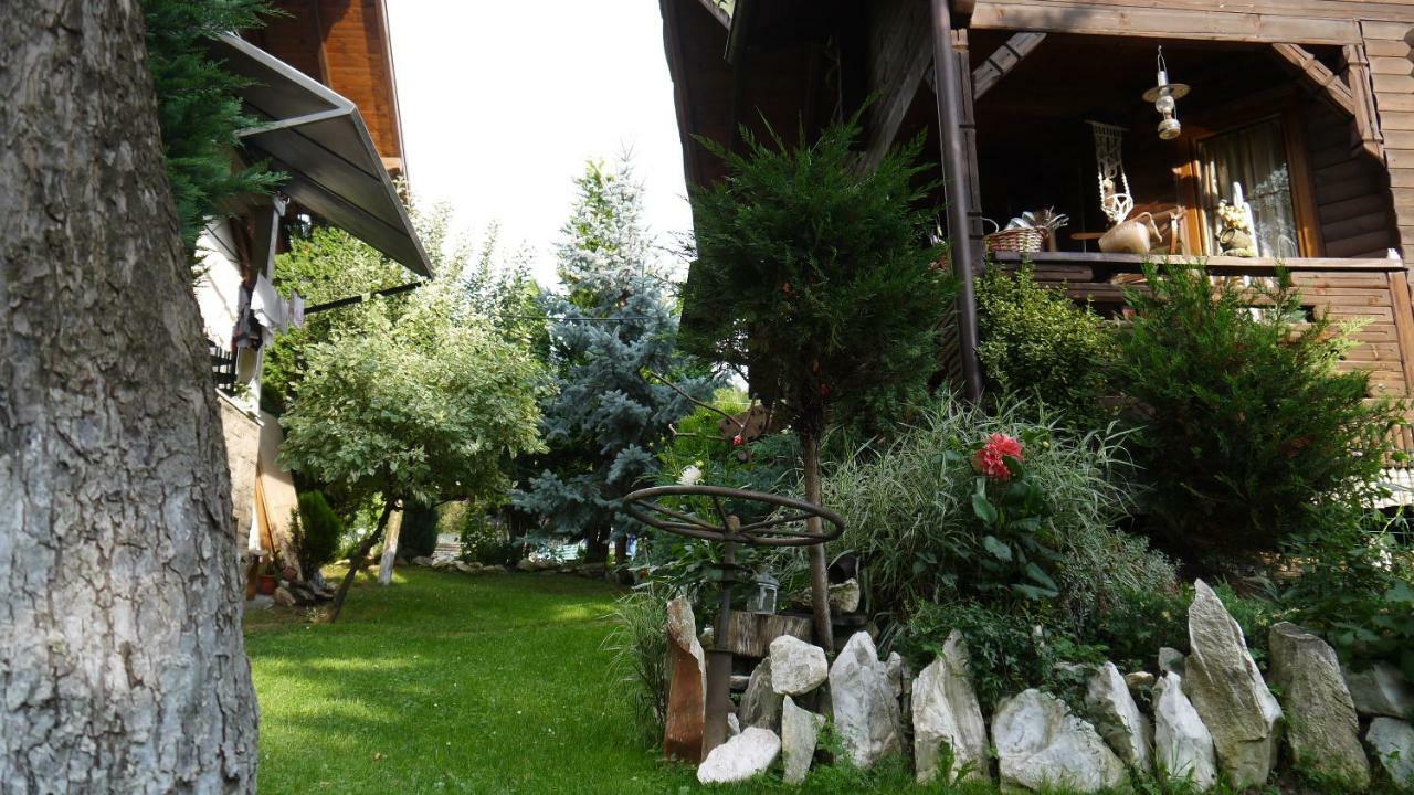 Cabana Rustic Borşa 外观 照片
