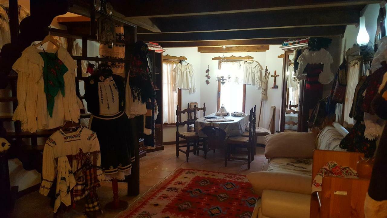 Cabana Rustic Borşa 外观 照片